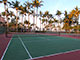 Two tennis courts